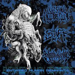 Aborning : Entwined Human Remnants